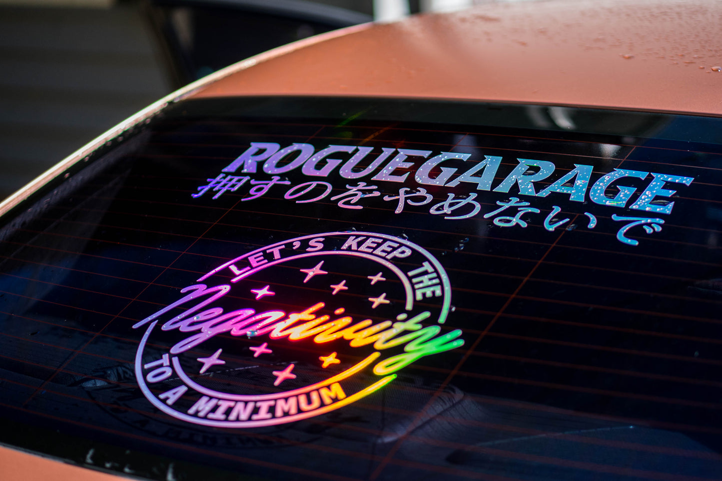 Rogue Garage "Never Give Up"